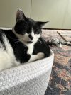 IMG_2095.jpeg