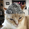 tin foil hat.png